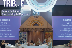 TBA Tribune June 2025 Annual Report Cover